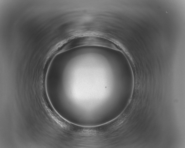 X0000080670437200612221121