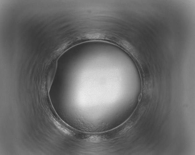 X0000080670441200612221121