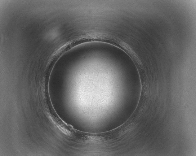 X0000080670442200612221121