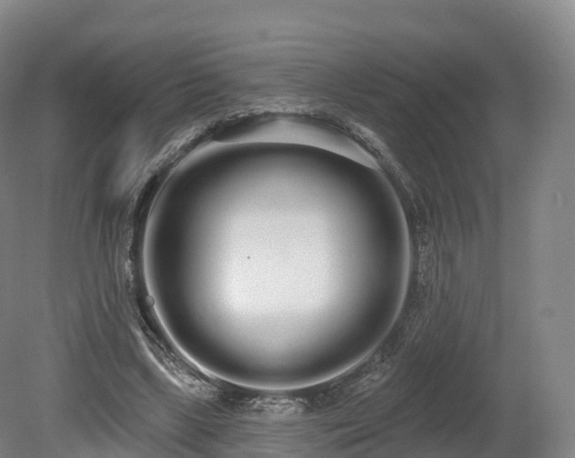 X0000080670443200612221121