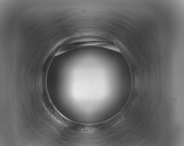 X0000080670444200612221121