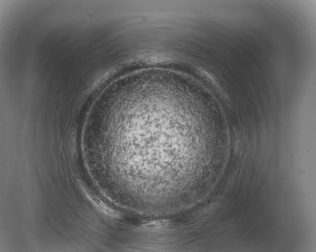 X0000080670447200612221121