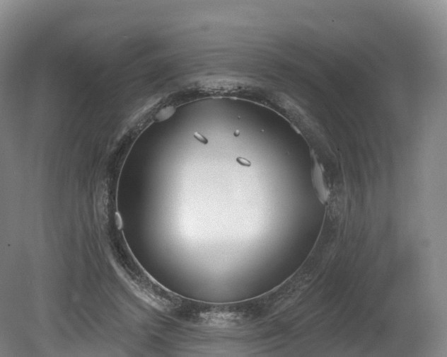 X0000080670448200612221121