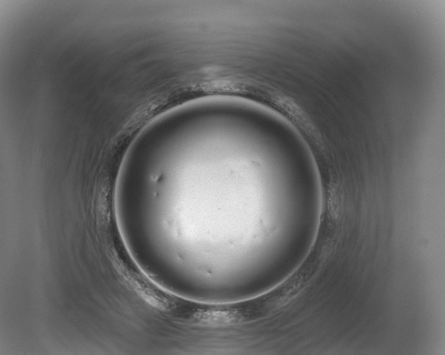 X0000080670449200612221121