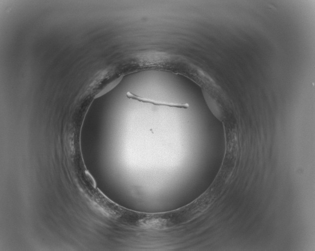 X0000080670452200612221121