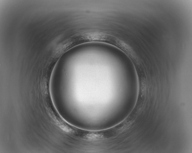 X0000080670453200612221121