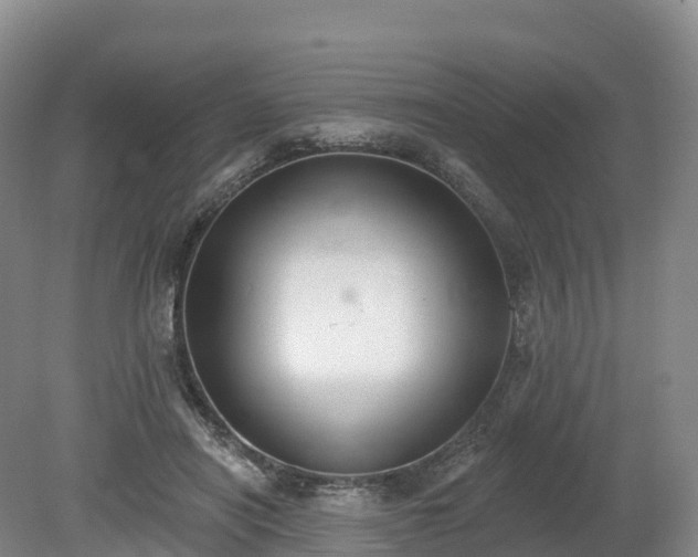 X0000080670454200612221121