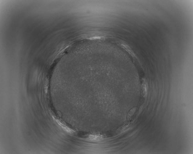 X0000080670458200612221121