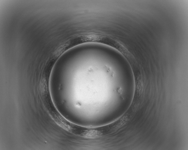 X0000080670459200612221121