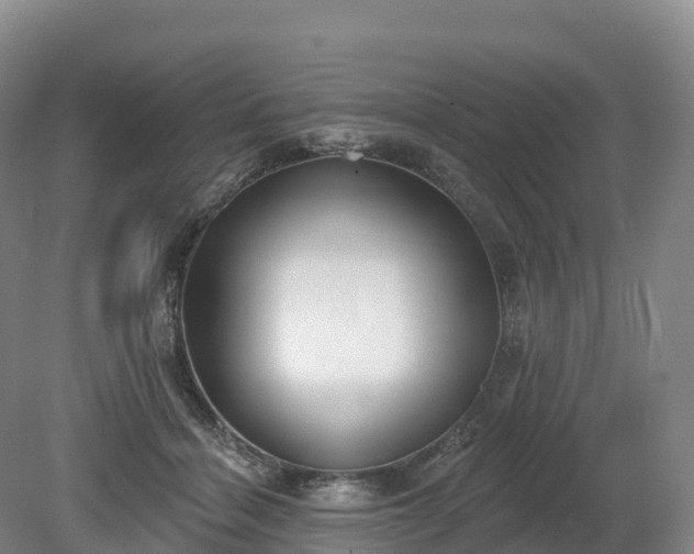 X0000080670460200612221121