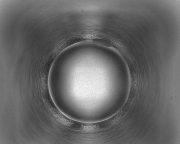 X0000080670461200612221121