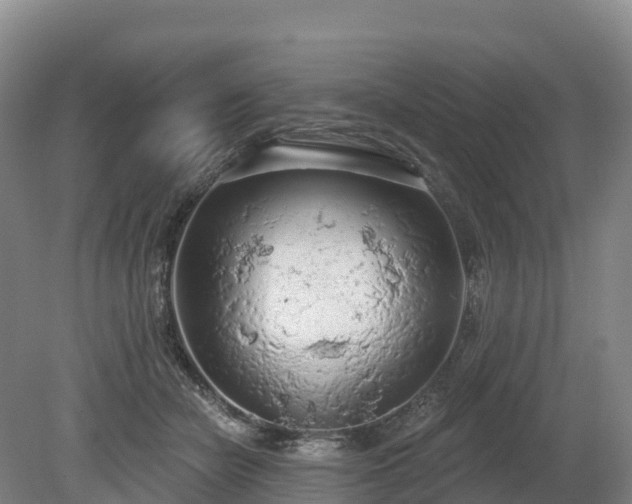 X0000080670462200612221121