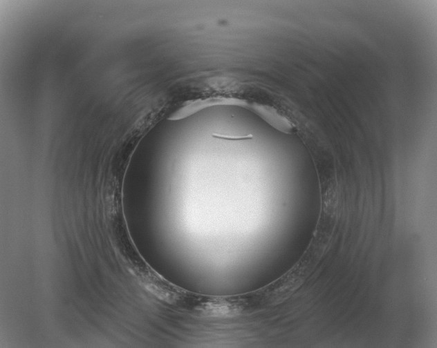 X0000080670464200612221121