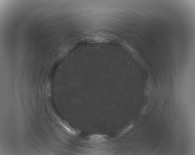 X0000080670465200612221121