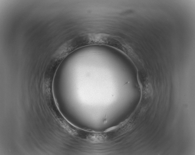 X0000080670466200612221121