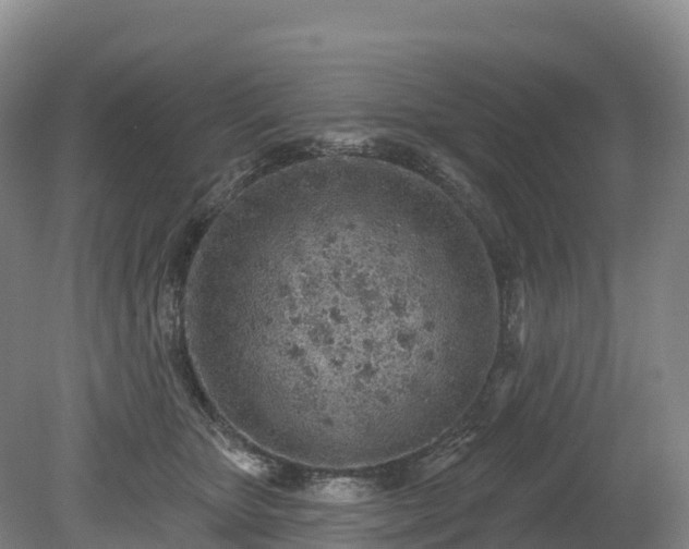 X0000080670467200612221121