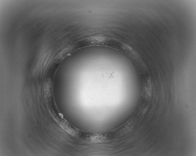 X0000080670468200612221121