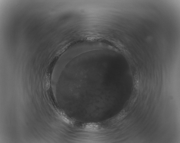 X0000080670471200612221121