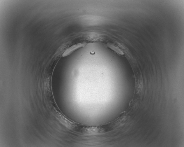 X0000080670473200612221121