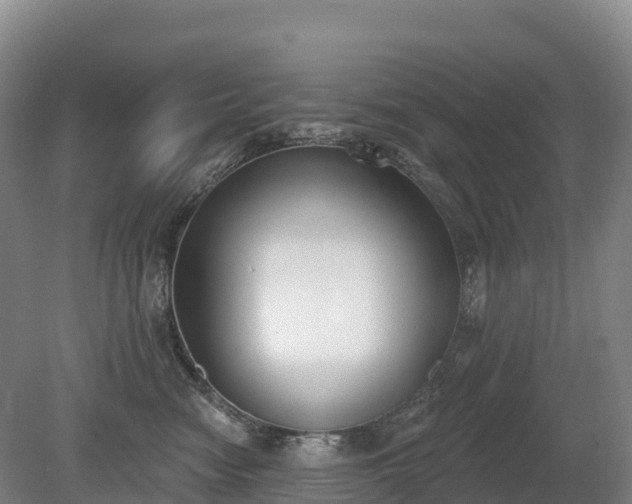 X0000080670474200612221121