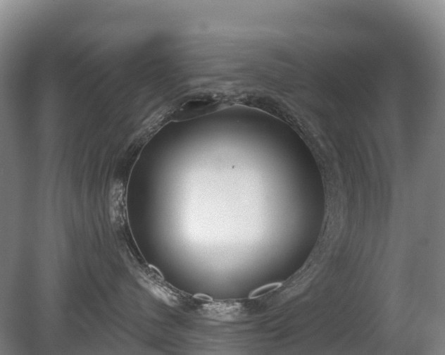 X0000080670480200612221121