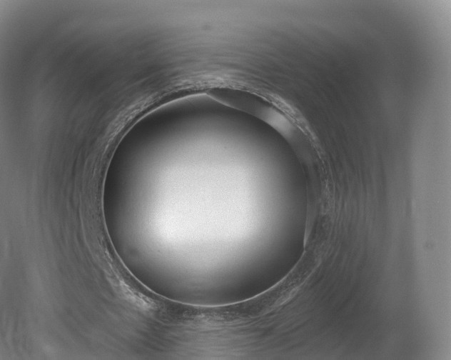 X0000080670481200612221121