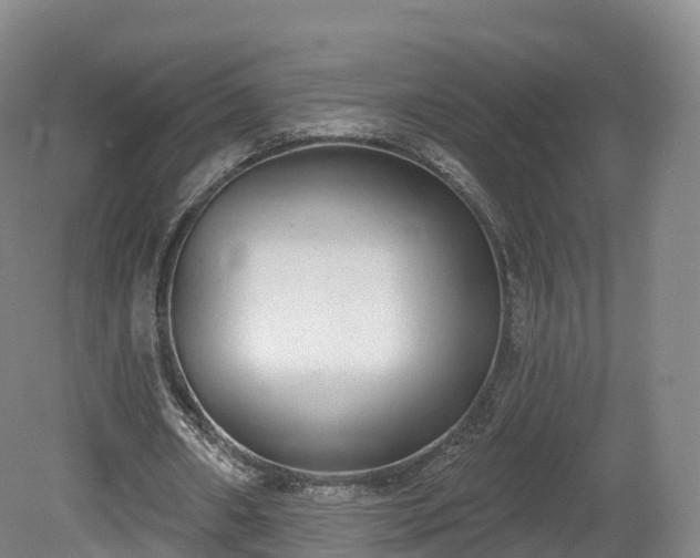 X0000080670482200612221121