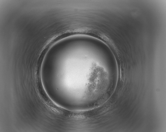 X0000080670483200612221121