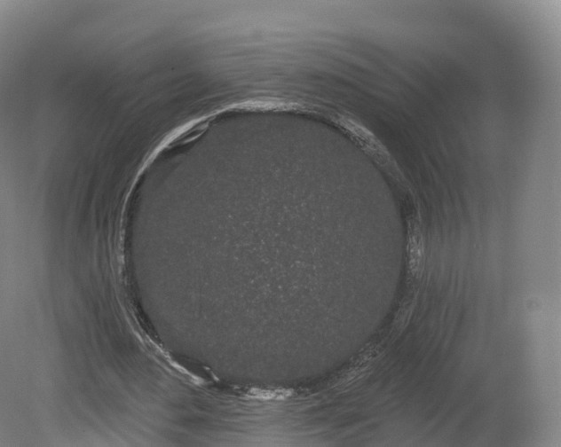 X0000080670484200612221121