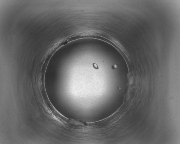 X0000080670485200612221121