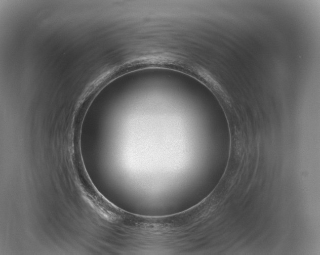 X0000080670486200612221121