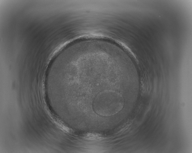 X0000080670487200612221121