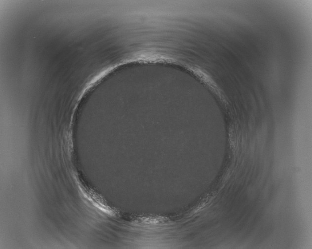 X0000080670488200612221121