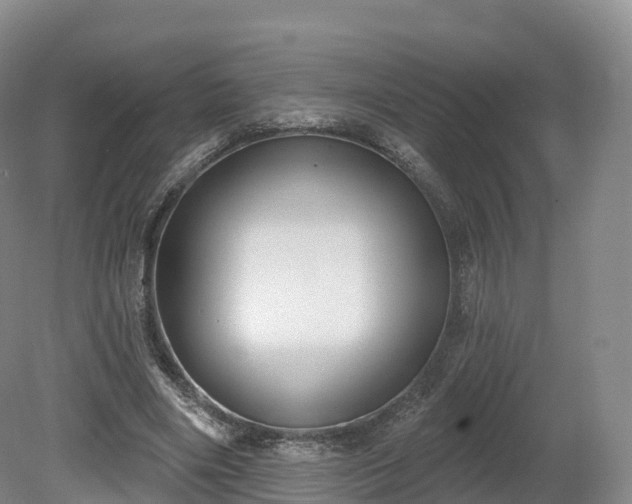 X0000080670490200612221120