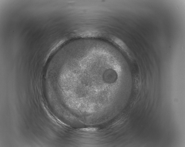 X0000080670491200612221120