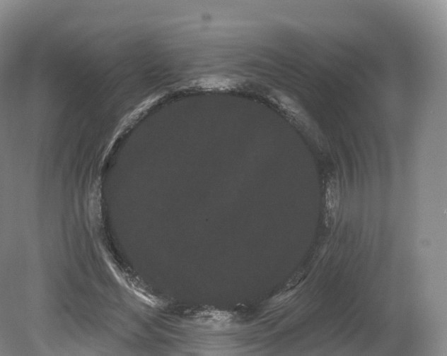 X0000080670492200612221120