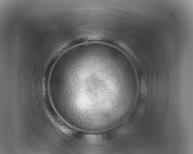 X0000080670494200612221120