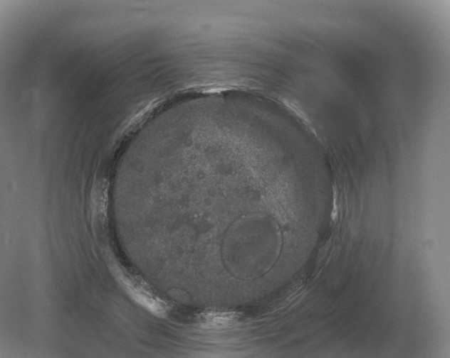 X0000080670495200612221120