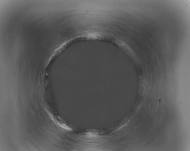 X0000080670496200612221120