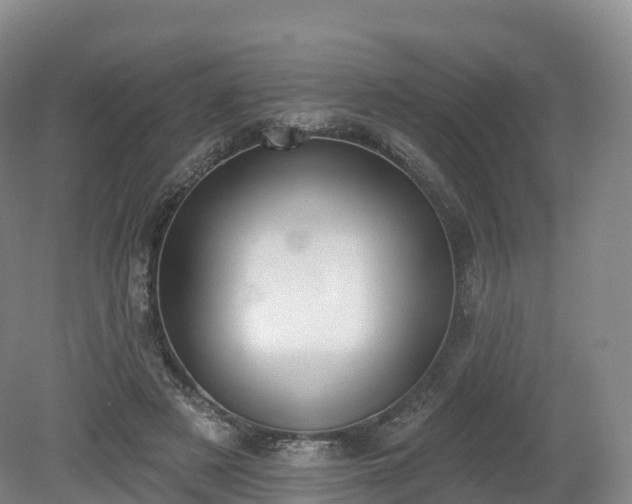 X0000080670497200612221120