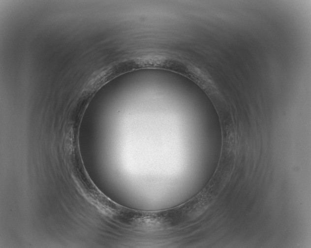 X0000080670498200612221120