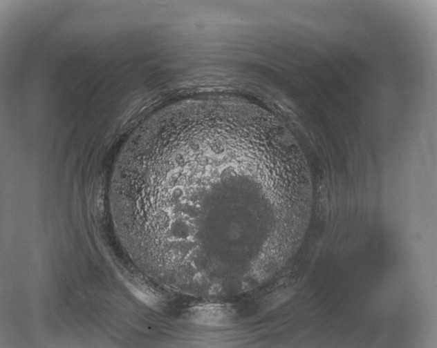 X0000080670499200612221120