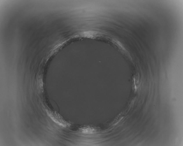 X0000080670500200612221120