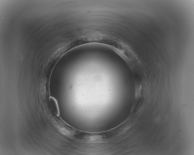 X0000080670501200612221120