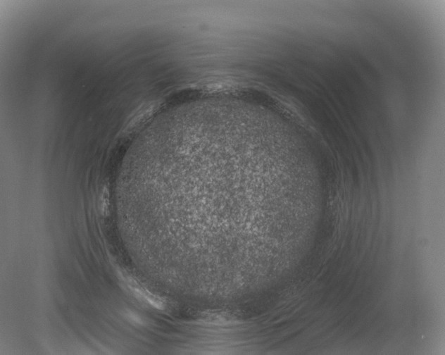 X0000080670502200612221120