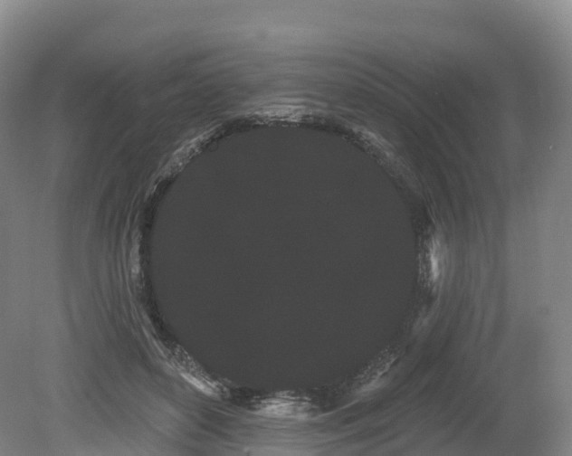 X0000080670504200612221120