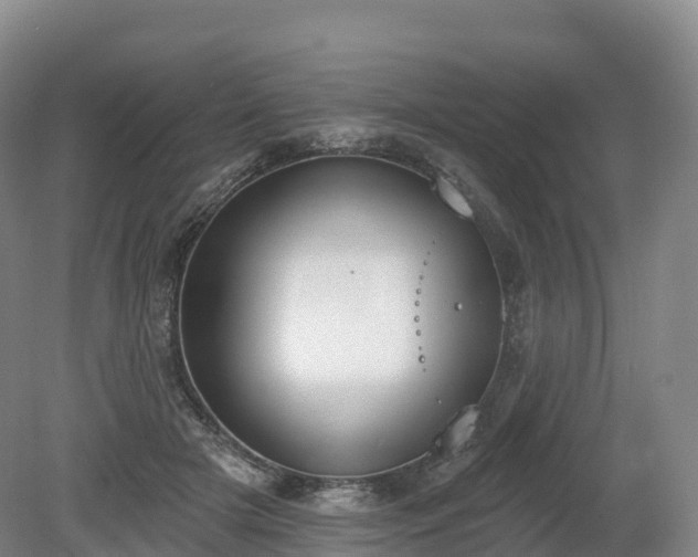 X0000080670505200612221120