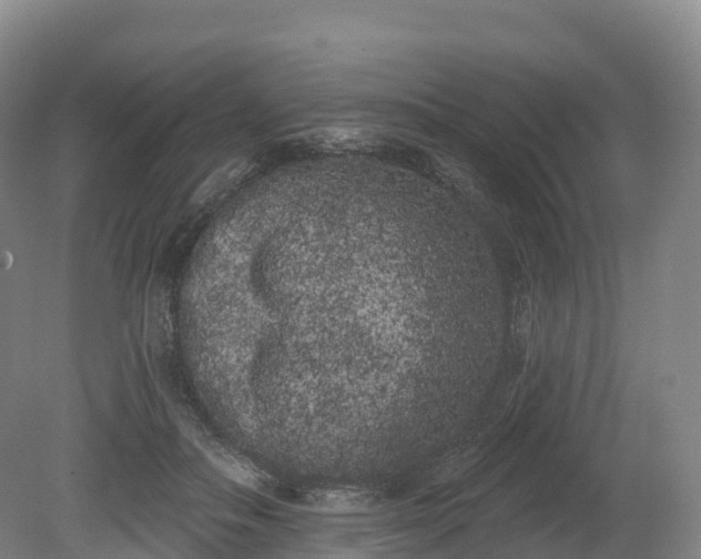 X0000080670506200612221120