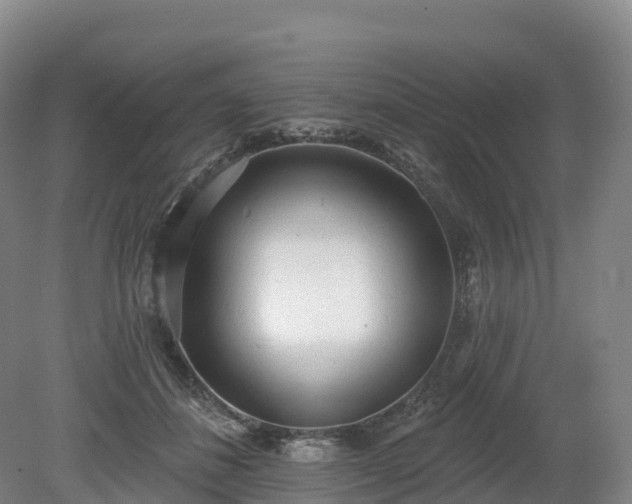 X0000080670508200612221120