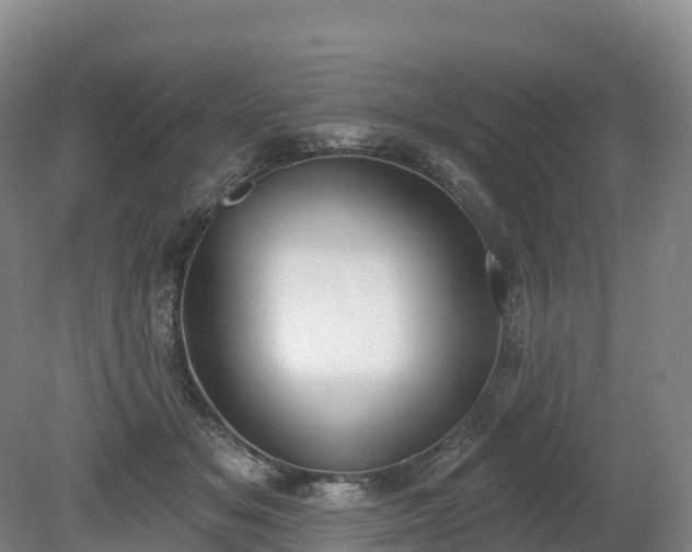 X0000080670509200612221120